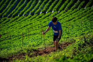 BIB: 
                            <button type="button" onclick="openModal(19161056)" class="btn btn-primary btn-sm float-right btn-popup" data-toggle="modal" data-target=".modal-high-quality">
                        <i class="fas fa-shopping-cart"></i> Add to Cart
                    </button>
                                            <button type="button" onclick="isThisMe(19161056, true)" class="btn btn-success btn-sm float-right btn-popup btn-isme hidden" data-toggle="tooltip" data-placement="bottom" title="นี่คือรูปของคุณใช่ไหม คลิกที่นี่เพื่อเอาเข้าอัลบั้ม">
                        <i class="fas fa-plus"></i> Add to album
                    </button>
                    <button type="button" onclick="isThisMe(19161056, false)" class="btn btn-warning btn-sm float-right btn-popup btn-isnotme hidden">
                        <i class="fas fa-ban"></i> Remove from album
                    </button>